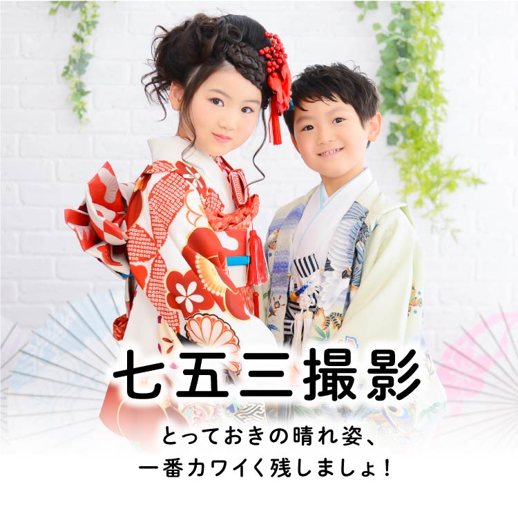 /product/sevenfivethreefes/