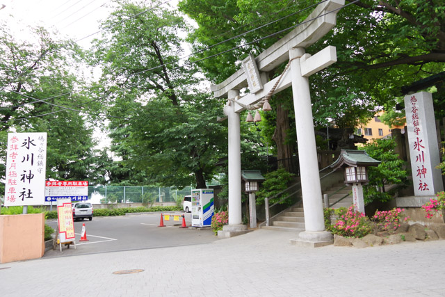 七五三や初宮参りにおすすめの神社 鳩ヶ谷氷川神社　川口市