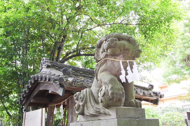 七五三や初宮参りにおすすめの神社 鳩ヶ谷氷川神社　川口市