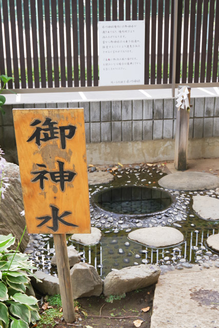 七五三や初宮参りにおすすめの神社 鳩ヶ谷氷川神社　川口市