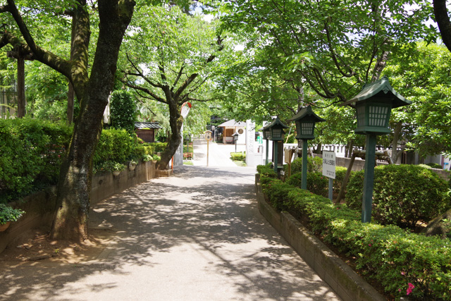 七五三のお参りに埼玉県川口市 九重神社