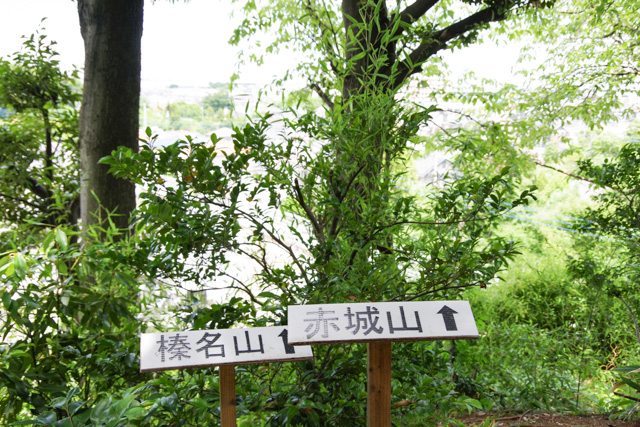 七五三のお参りに埼玉県川口市 九重神社　御嶽山