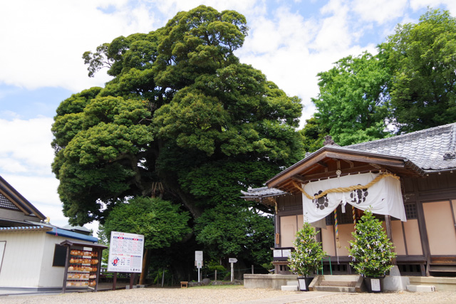 七五三のお参りに埼玉県川口市 九重神社