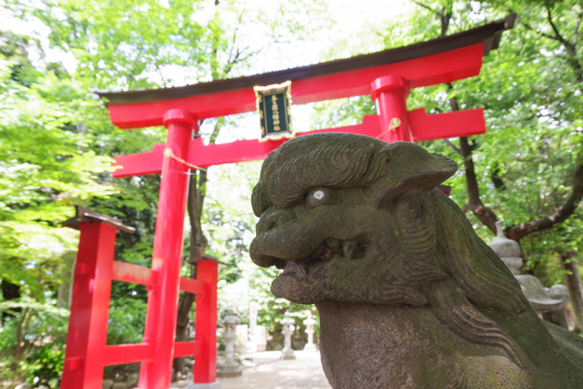 七五三のお参りにオススメの神社　峯が丘八幡神社　川口市