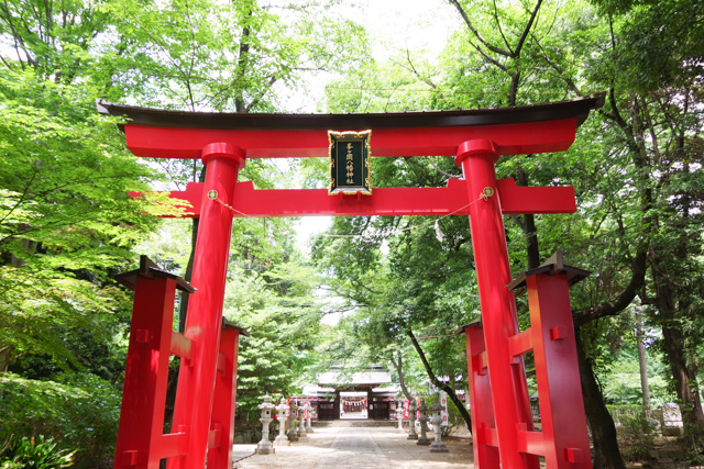 七五三のお参りにオススメの神社　峯が丘八幡神社　川口市