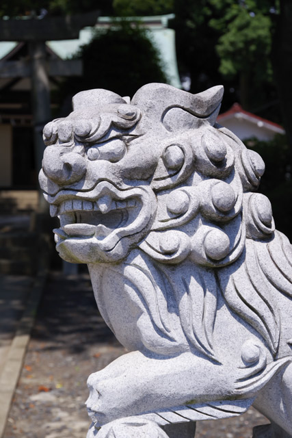 七郷神社の狛犬