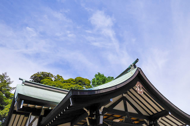 七郷神社のしいの木