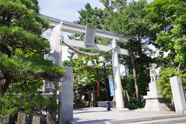 七五三や初宮参りにおすすめの神社 鎮守氷川神社　川口市