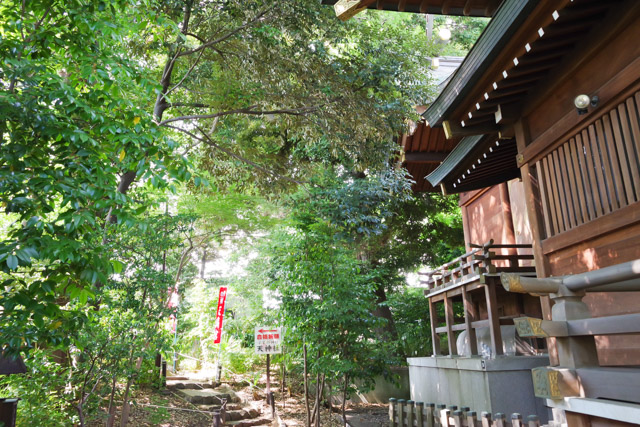 七五三や初宮参りにおすすめの神社 鎮守氷川神社　川口市