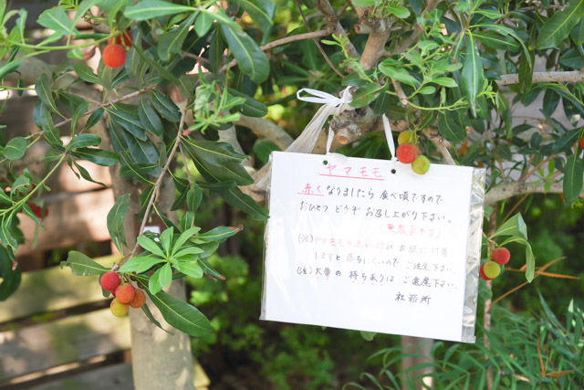 七五三や初宮参りにおすすめの神社 鎮守氷川神社　川口市