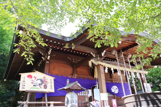 七五三や初宮参りにおすすめの神社 鎮守氷川神社　川口市