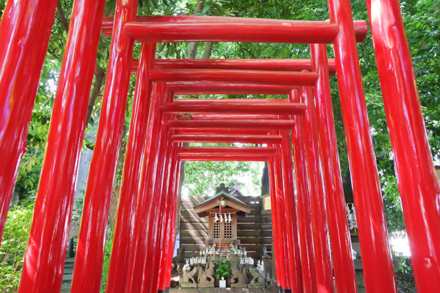 七五三や初宮参りにおすすめの神社 鎮守氷川神社　川口市