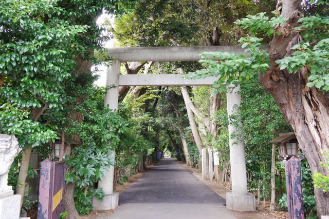 七五三や初宮参りにおすすめの神社 久伊豆神社　さいたま市