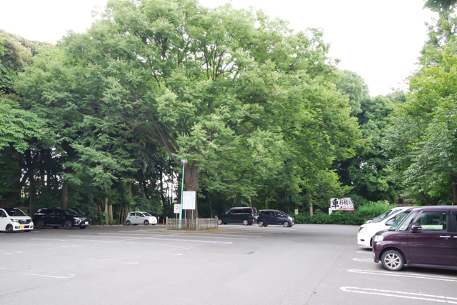 七五三や初宮参りにおすすめの神社 久伊豆神社　さいたま市