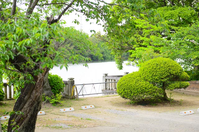 武蔵第六天神社の裏庭