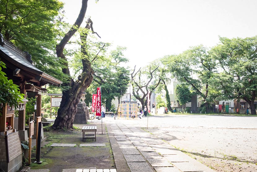 お宮参り・七五三におすすめ埼玉県志木市本町 敷島神社の横の公園