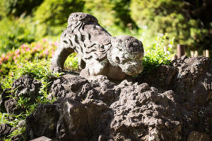 お宮参り・七五三におすすめ埼玉県志木市本町 敷島神社　狛犬